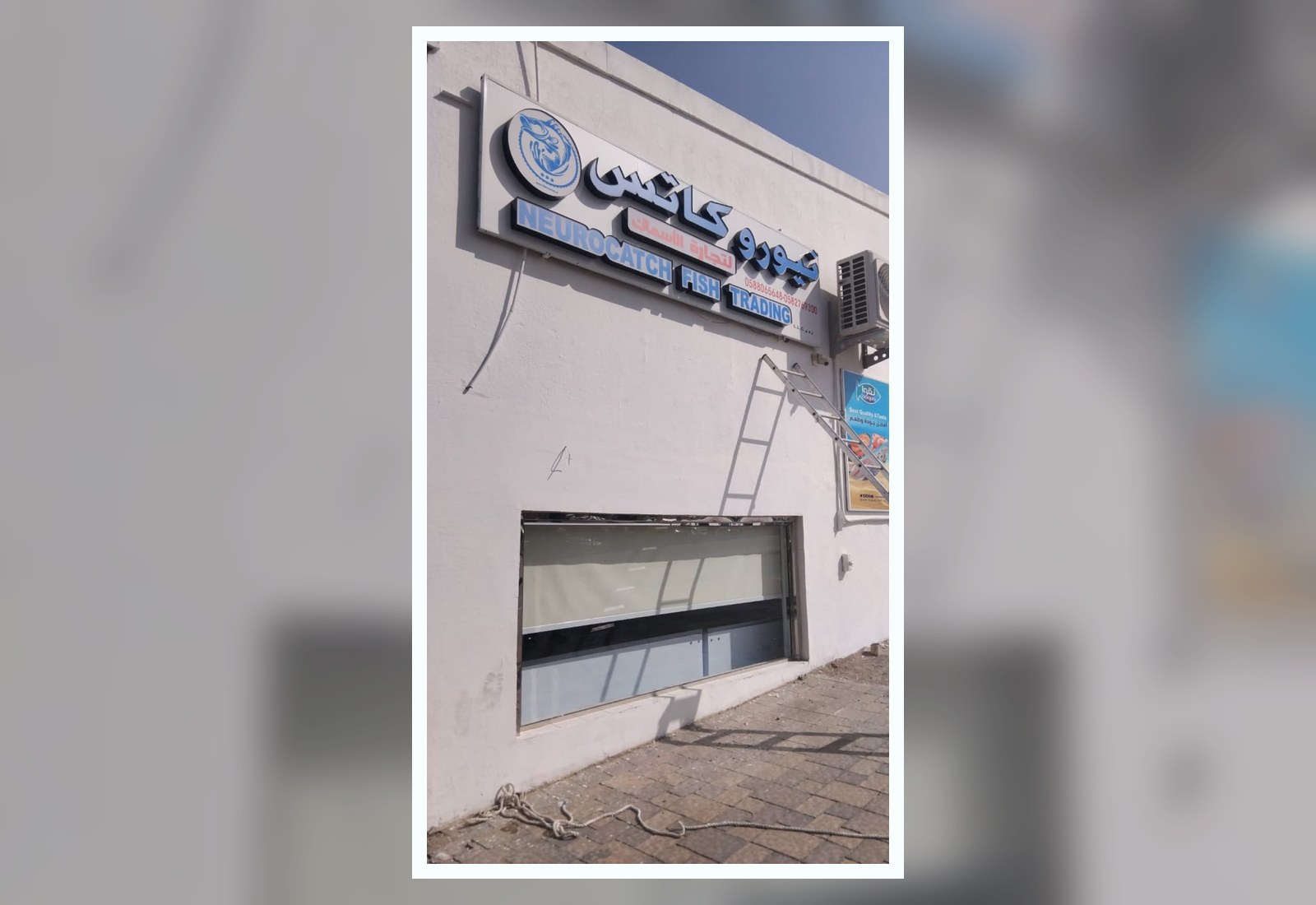 Al Ain Neurocatch Fish Trading outlet exterior signage