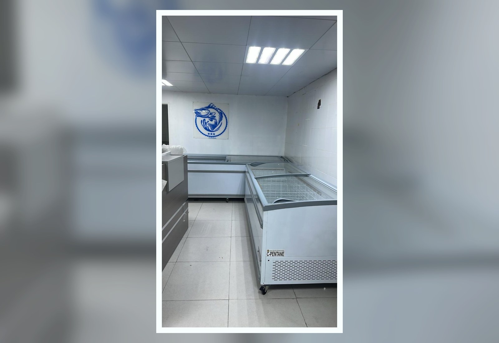 Al Ain outlet freezer and retail interior area
