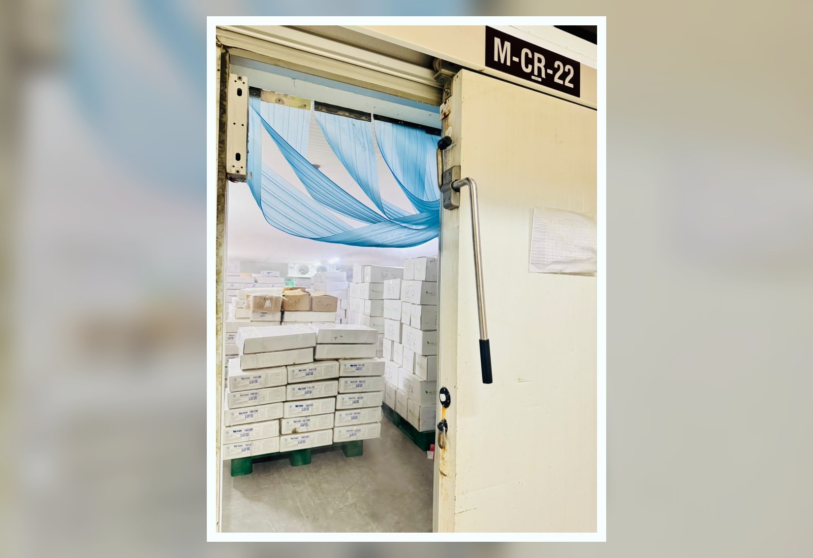 Waterfront Market M-CR-22 minus 18 degree cold store entrance with frozen seafood stock