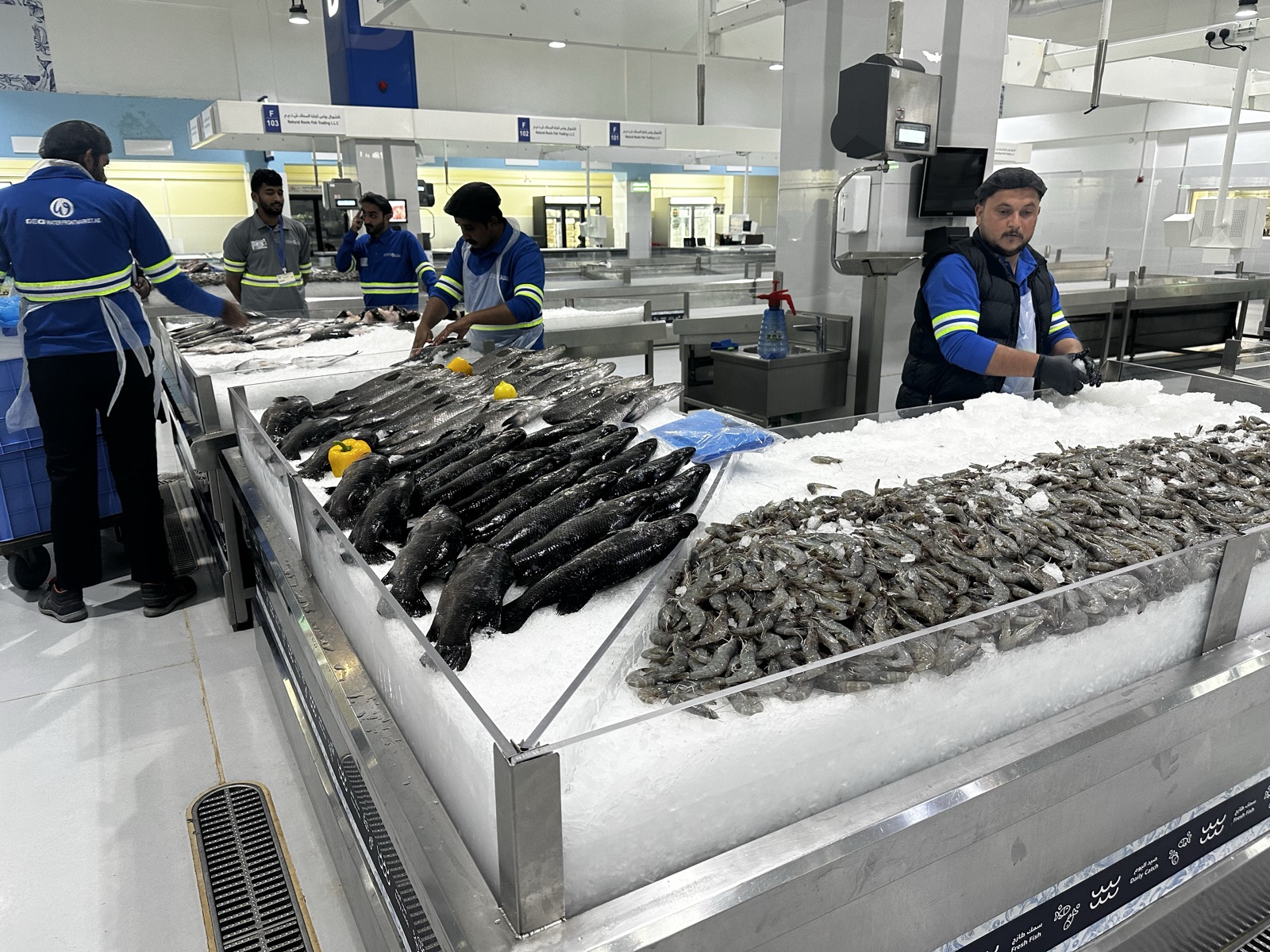 Waterfront Market seafood retail display with staff operations
