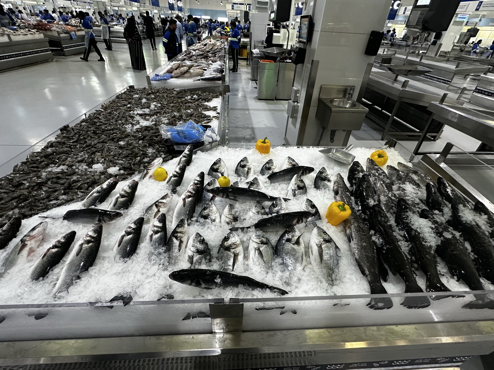 Waterfront Market seafood display with fish and ice