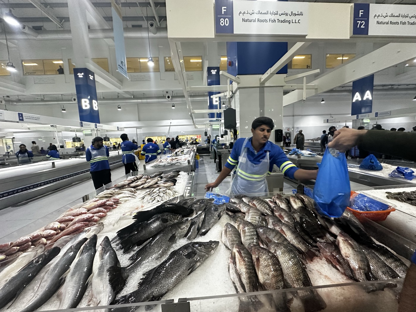 Waterfront Market Dubai fresh seafood outlet