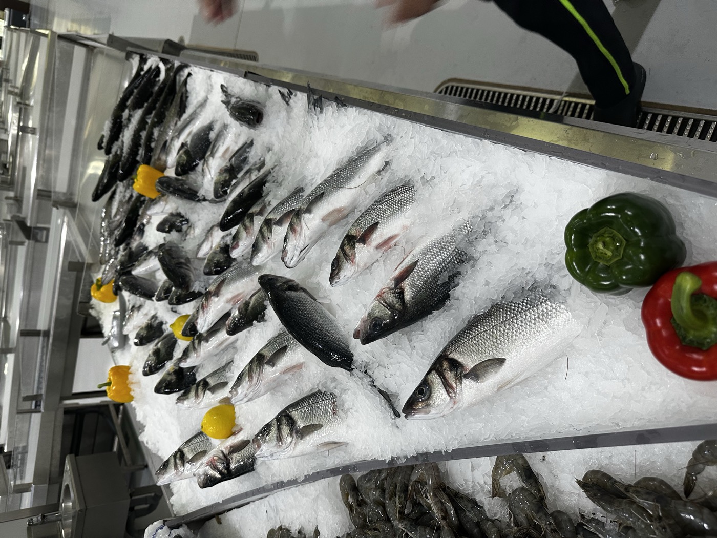 Waterfront Market Dubai seafood branch outlet